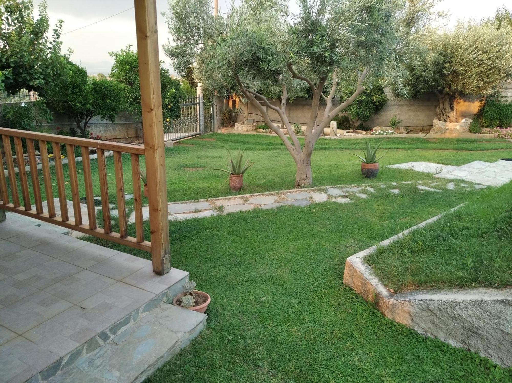Вилла Garden House-Free Transfer From Airport Луца Экстерьер фото
